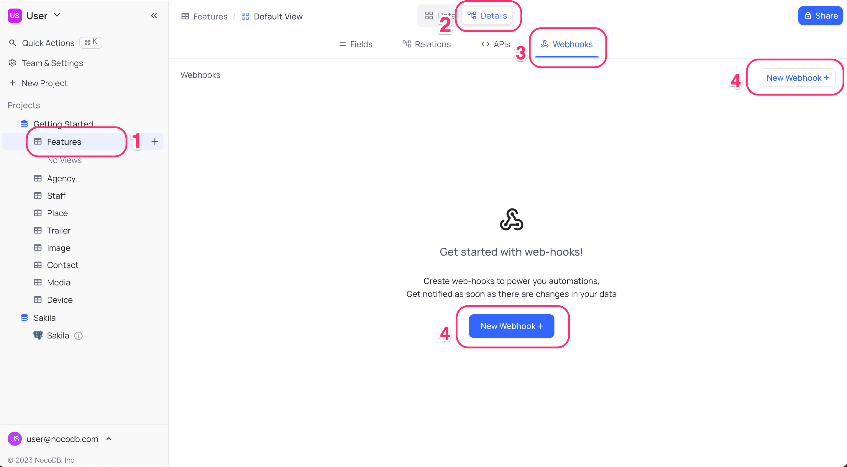 Accessing webhook