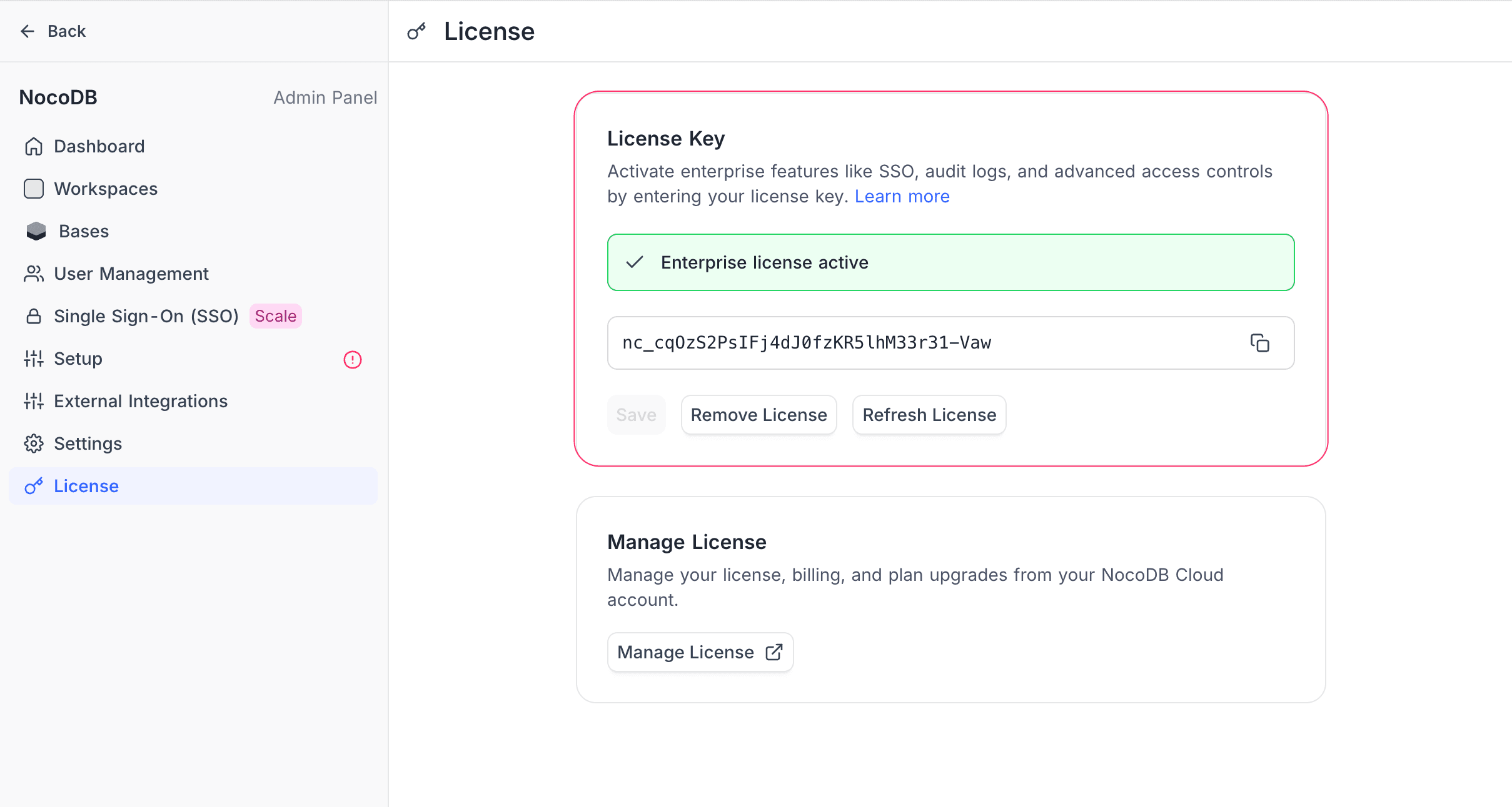 License page showing an active license